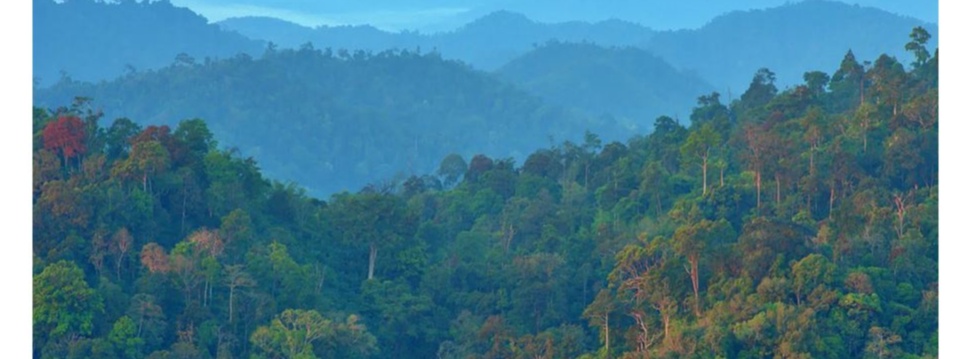 SIG und WWF: Schutz und Vernetzung der wichtigsten Waldlandschaften Thailands