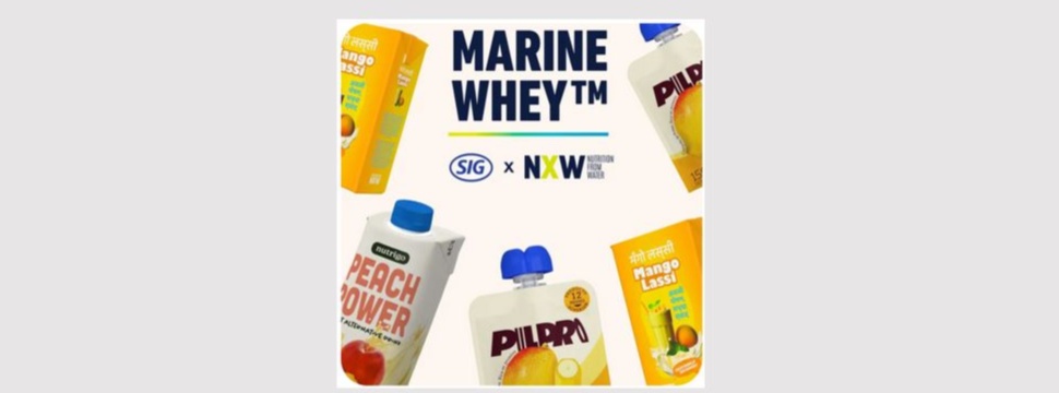 Algae-based protein beverages in advanced aseptic packaging