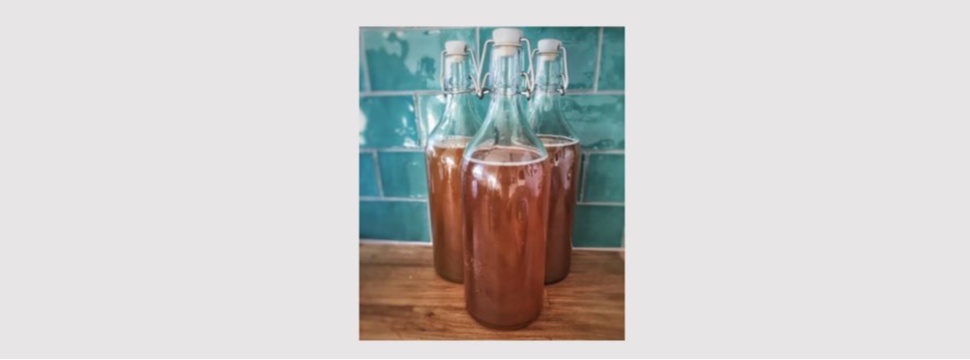 Kombucha Kombucha