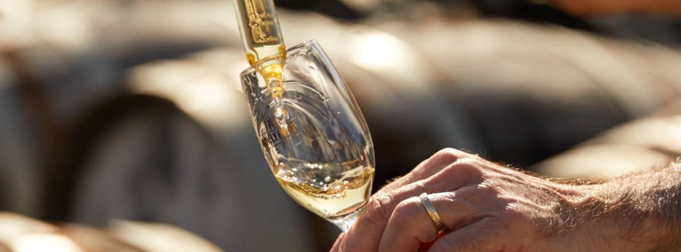 ILEGAL Mezcal is a Leading Artisanal Mezcal Brand in the U.S. Bacardi acquires ILEGAL Mezcal