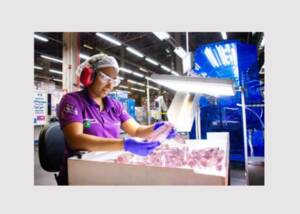 Verpackungs- und Recyclingspezialist ALPLA blickt auf ein erfolgreiches Geschäftsjahr 2025 in Nord- und Südamerika zurück.