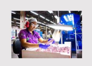 Packaging and recycling specialist ALPLA looks back on a successful financial year 2025 in North and South America.