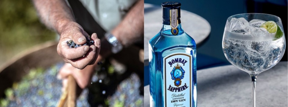 BOMBAY SAPPHIRE® wants to be World's Most Sustainable Gin