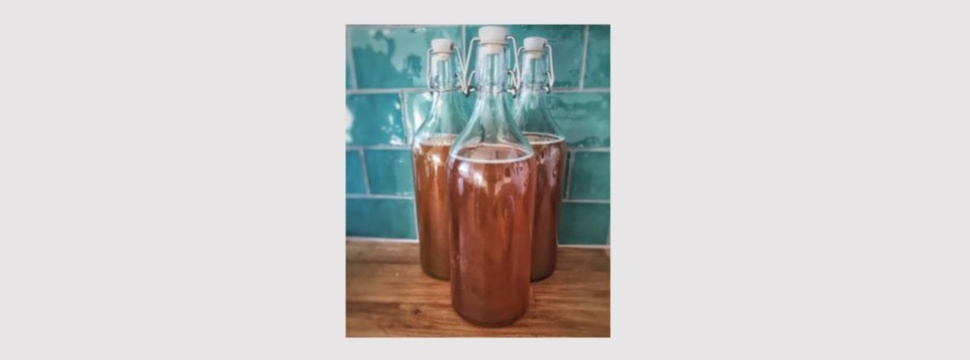 Kombucha Kombucha