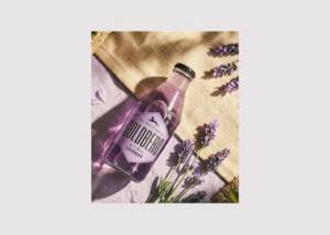 Goldberg Lavender