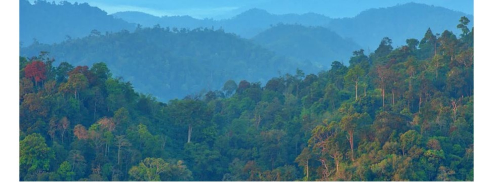 In partnership with WWF-Switzerland and WWF-Thailand, SIG has launched a project to protect and connect key forest landscapes in Thailand.