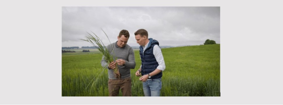 Lammsbräu bezahlt Landwirte für Gemeinwohlleistungen