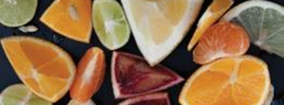 Givaudan und Manus Bio bringen Zitrus-Ingredienz BioNootkatone auf den Markt