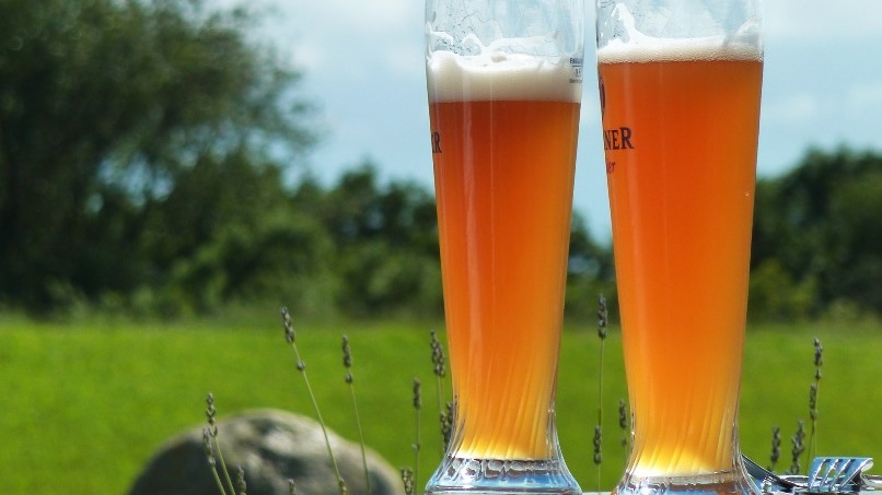 Wheat Beer Wheat Beer
