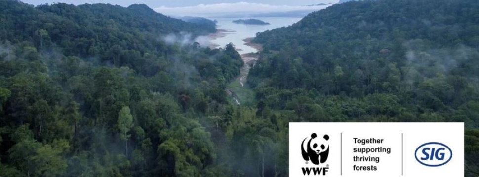 Ulu Muda ist ein Hotspot der biologischen Vielfalt im Staat Kedah im nordwestlichen Teil der Halbinsel Malaysia.