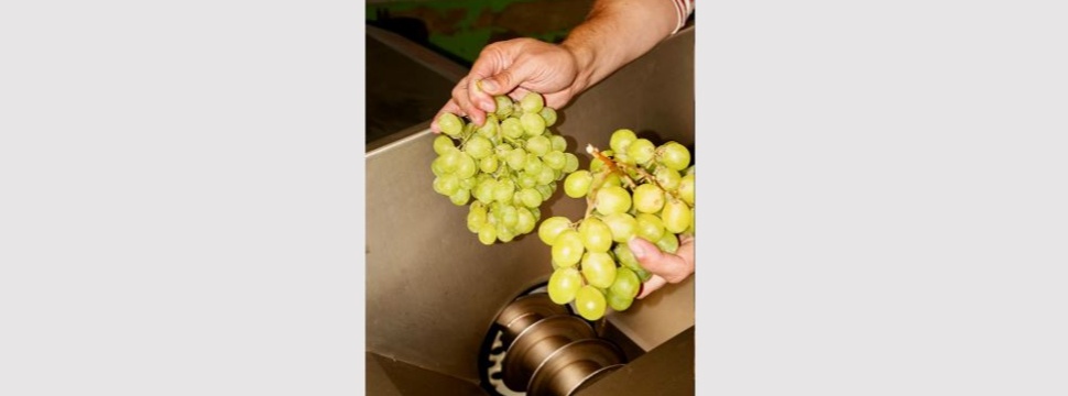 Wein aus geretteten Weintrauben