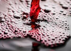 Rotwein Rotwein