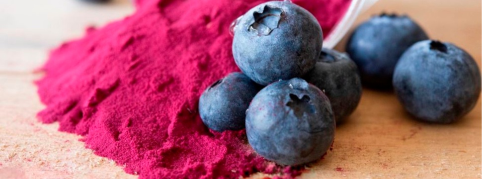 Symrise announces range of natural blueberry ingredients for food, beverage, and consumer health applications