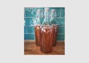 Kombucha Kombucha