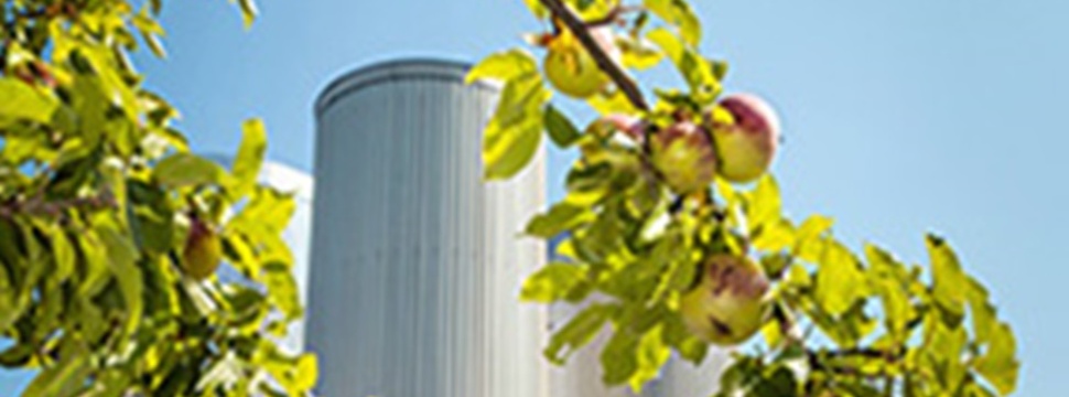 Fruchtsafthersteller keltern 382 Mio. Liter Apfelsaft