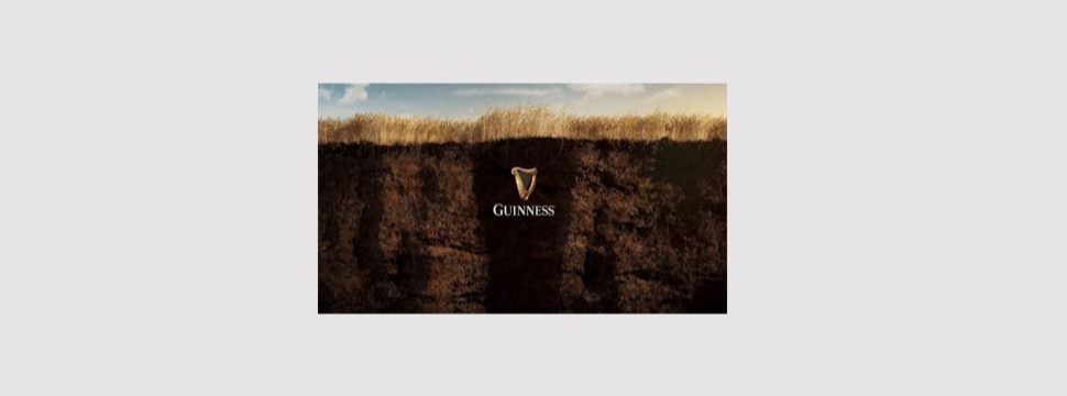 Guinness startet ein Pilotprojekt zur regenerativen Landwirtschaft